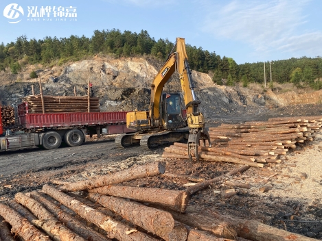 松木樁批發(fā)價格是多少？