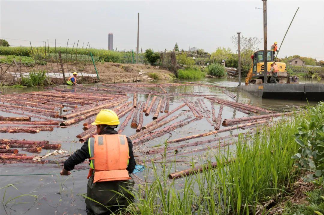 改善水環(huán)境！徐行122條段村級河道用木樁對河岸進行加固整治