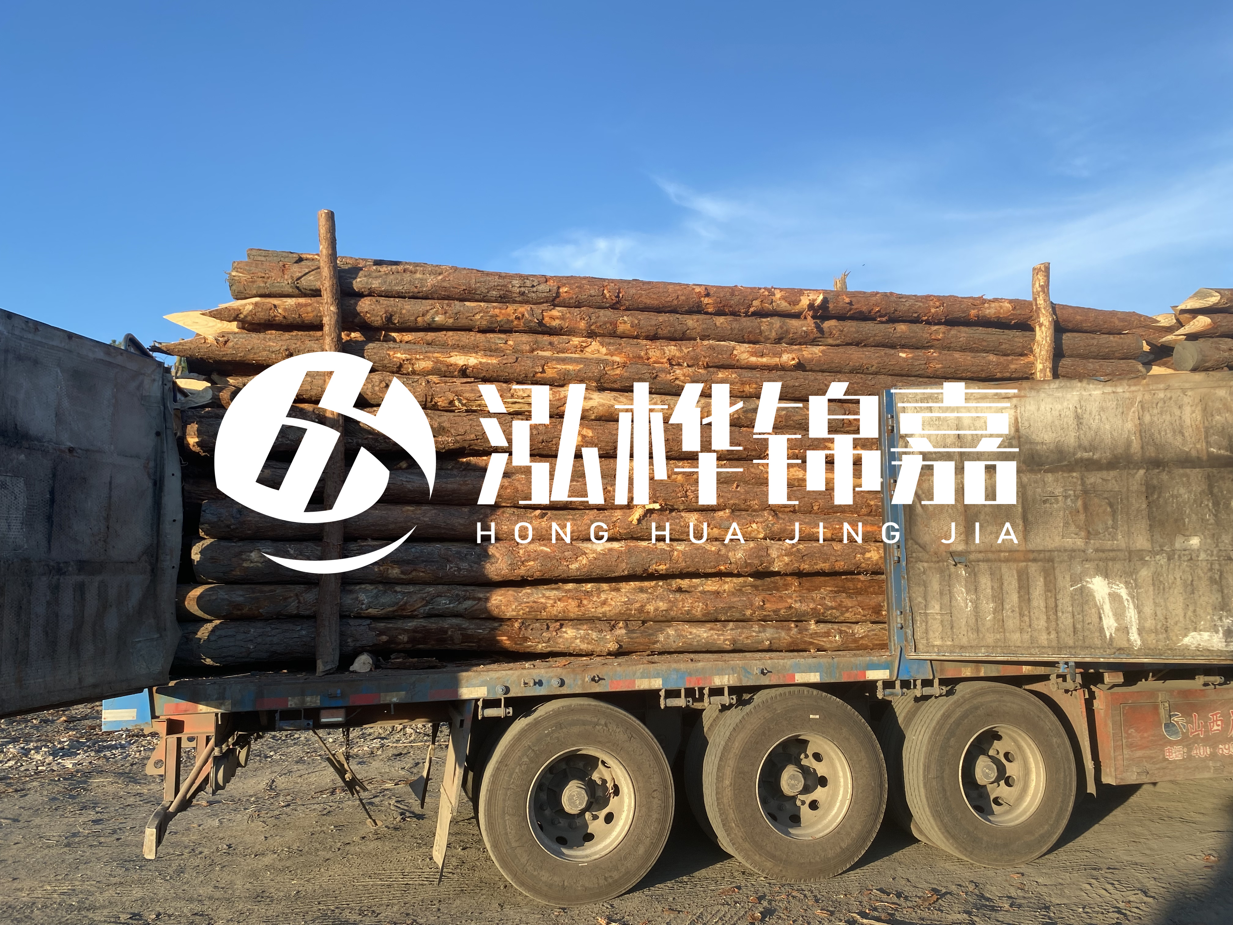 河道治理為什么要用松木樁？