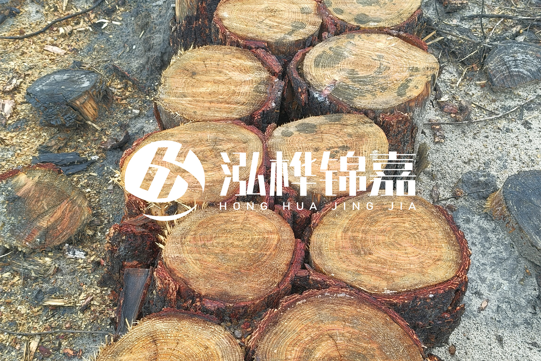 浙江臺州有清淤的公司嗎？浙江臺州有清淤施工隊嗎？