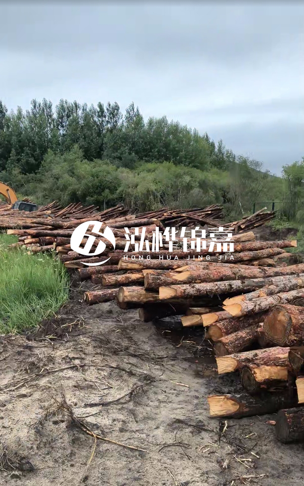 甘肅河道清淤工程公司-為什么要進行河道清淤？