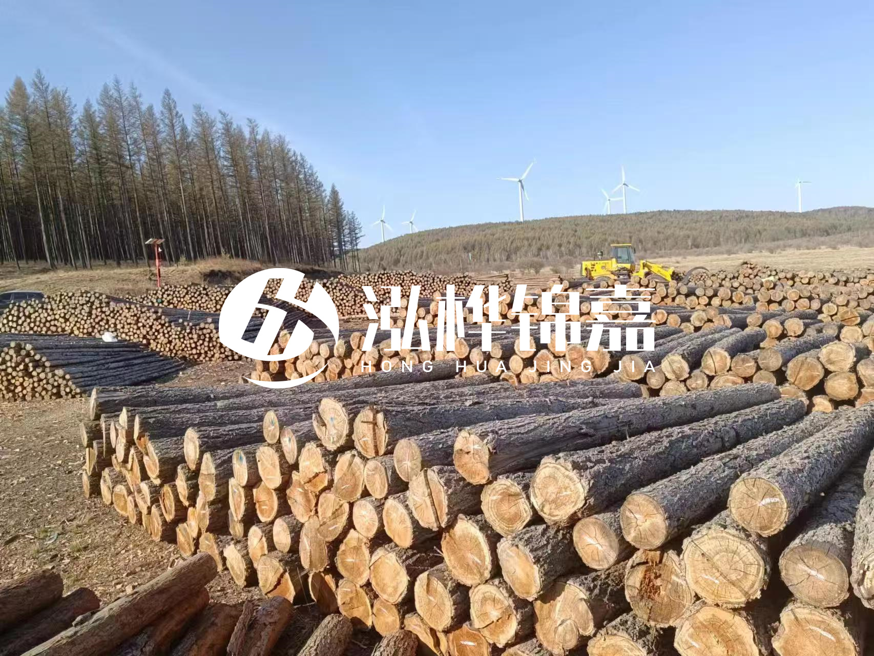 湘潭松木樁源頭廠家-松木樁與水泥樁的性價比對比如何？