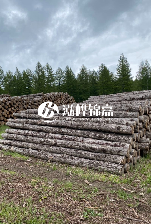 長沙松木樁源頭廠家-如何甄別松木樁打樁木的質量好壞？