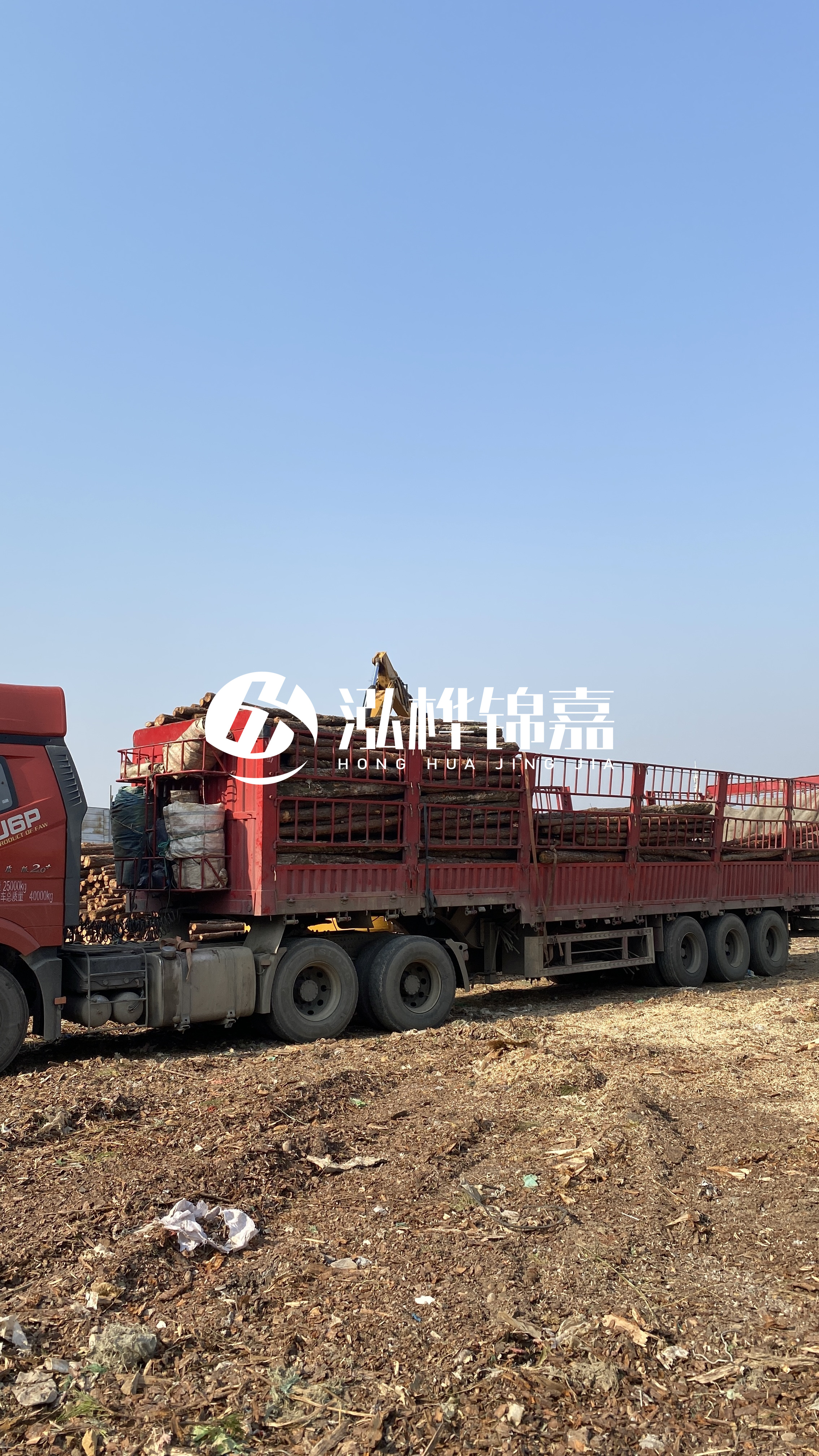 蘭州松木樁批發(fā)源頭廠家-落葉松與濕地松的主要區(qū)別？