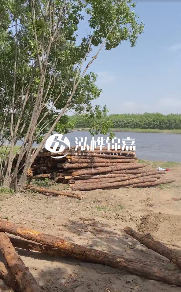 慶陽挖機(jī)打木樁專業(yè)施工-松木打樁過程中如何避免木材開裂？