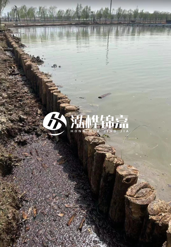 松木樁為什么要一根一根挨著打？秘密在這里！看完恍然大悟！