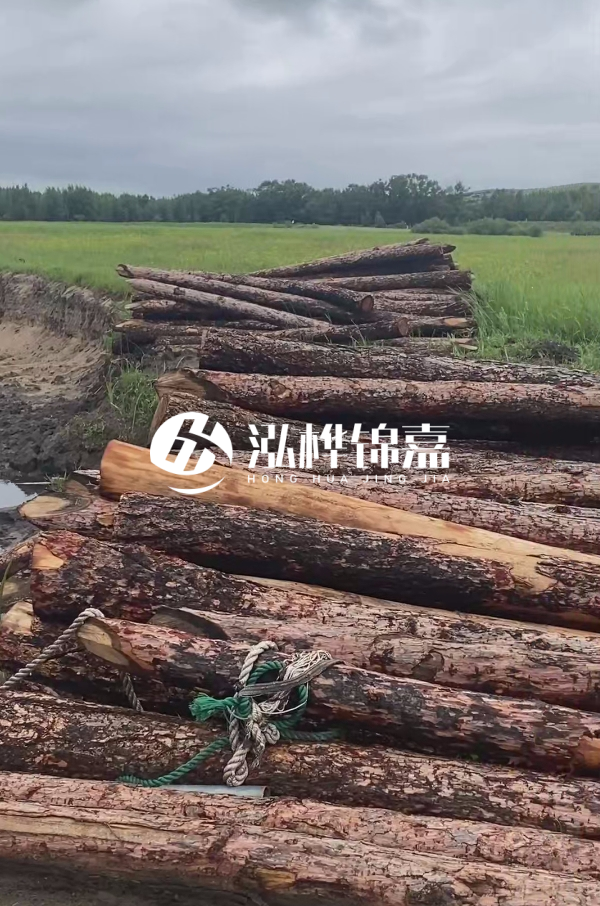 打樁木樁的選購標(biāo)準(zhǔn)是什么？材質(zhì)、尺寸與強(qiáng)度，哪些標(biāo)準(zhǔn)不能忽視？