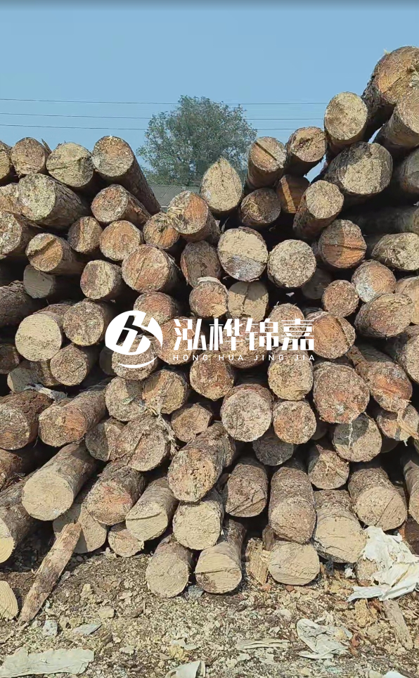 打松木樁多少錢一米 - 4 米松木樁打樁大概多少錢一根？