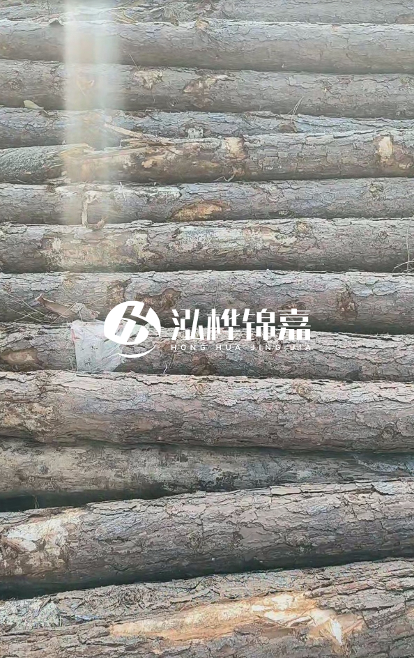 松木樁5米100mm一根多少錢(qián)-5米140mm多少錢(qián)？