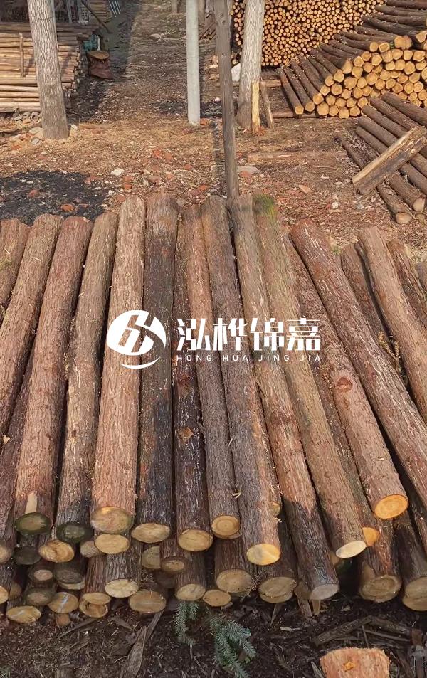 河道護坡選松木樁還是杉木樁？河道木樁一根多少錢？