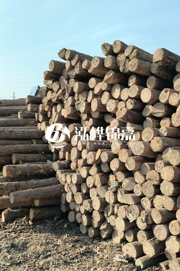 江西哪里有松木樁賣(mài)-4米12-14公分松木樁價(jià)格揭秘！