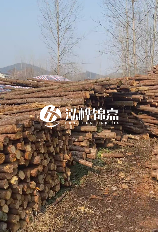 打杉木樁多少錢(qián)一根-一天能打多少根？