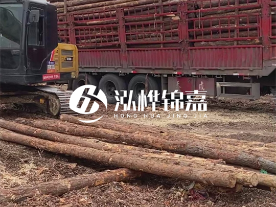 江西2米10-12松木樁多少錢一根？10-15公分價格又是多少？