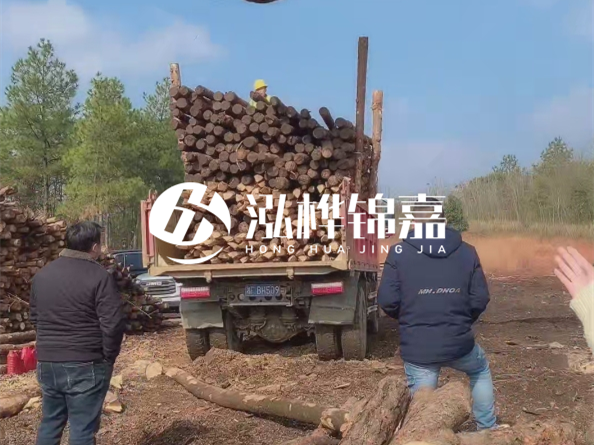 松木樁價格是按米算還是按根算？6米松木樁批發(fā)價每根多少錢？