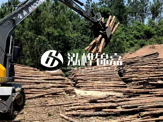 3米松木樁小頭10公分多少錢一根？大頭10公分又是多少錢？