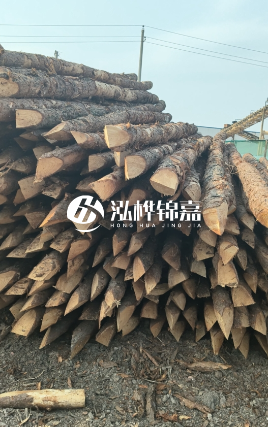 落葉松木材價格多少錢一立方？油松木材多少錢一立方？