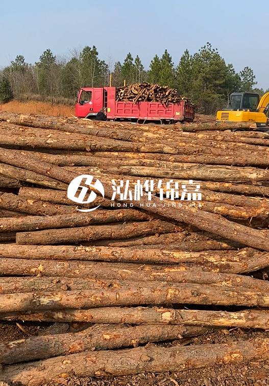 8米小頭11-13CM的松木樁價(jià)格是多少？打樁施工怎么算？