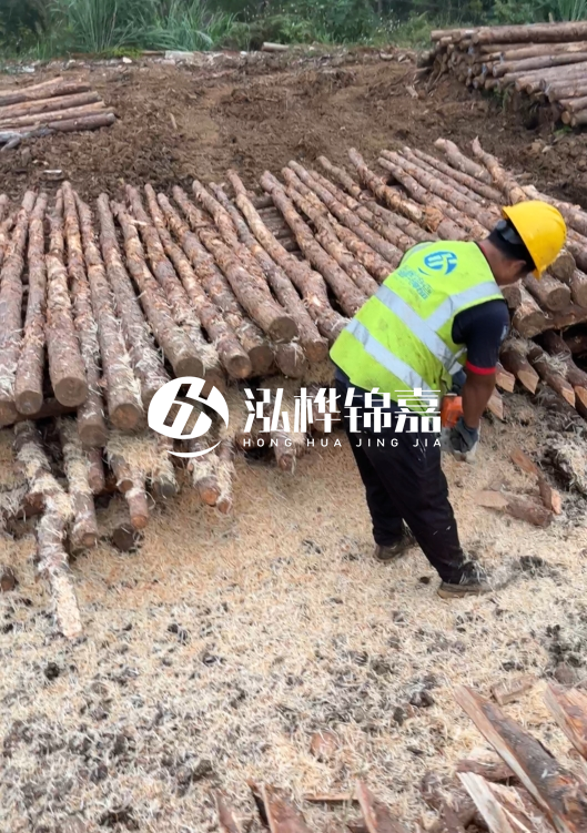 江蘇打樁木源頭廠家泓樺錦嘉-2.5米大頭10CM多少錢一根？