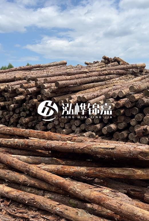 松木打樁木的價(jià)格波動(dòng)受哪些因素影響？杉木樁能代替松木樁嗎？