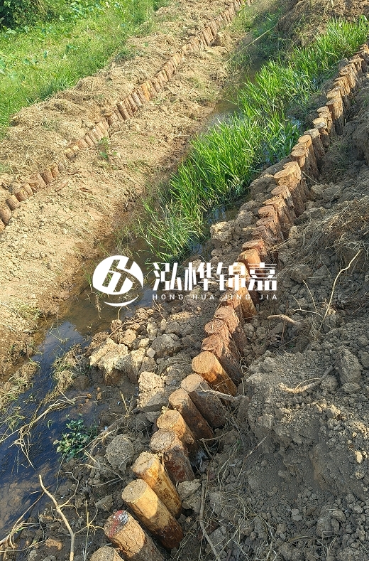 湖南松木樁批發(fā)廠家直銷-松木樁做碳化多少錢一根？