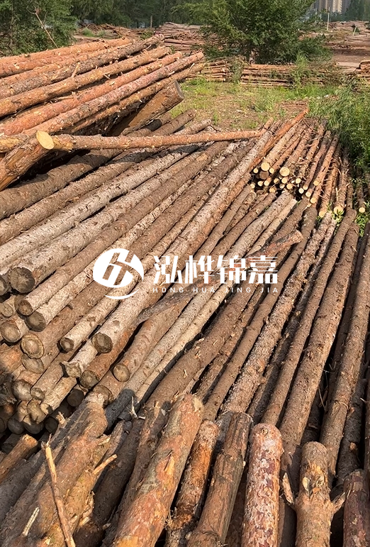 如何選擇合適的松木樁廠家？采購(gòu)松木樁需要考慮的因素有哪些？