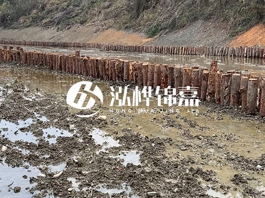 甘肅松木樁源頭廠家泓樺錦嘉-松木樁價格4米多少一根？