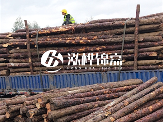 2 米大頭 12 公分松木樁價格 - 2 米大頭 14 公分松木樁多少錢一根？