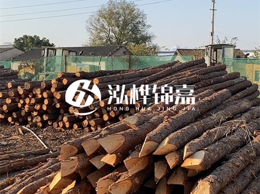 江西松木樁批發(fā)廠家泓樺錦嘉 - 松木廠家批發(fā)電話地址？