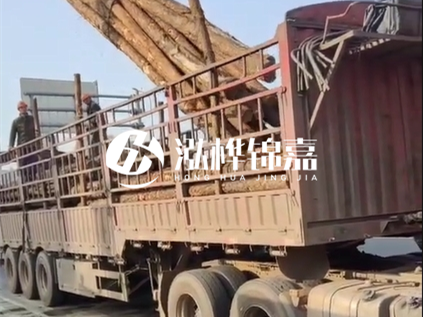 4米長杉木10公分價(jià)格-4.5米直徑15cm 杉木多少錢？