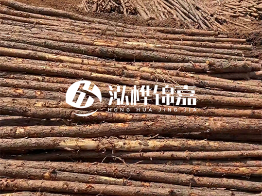 10公分的木材多少根為一方 - 4米10公分樹多少根為一方？