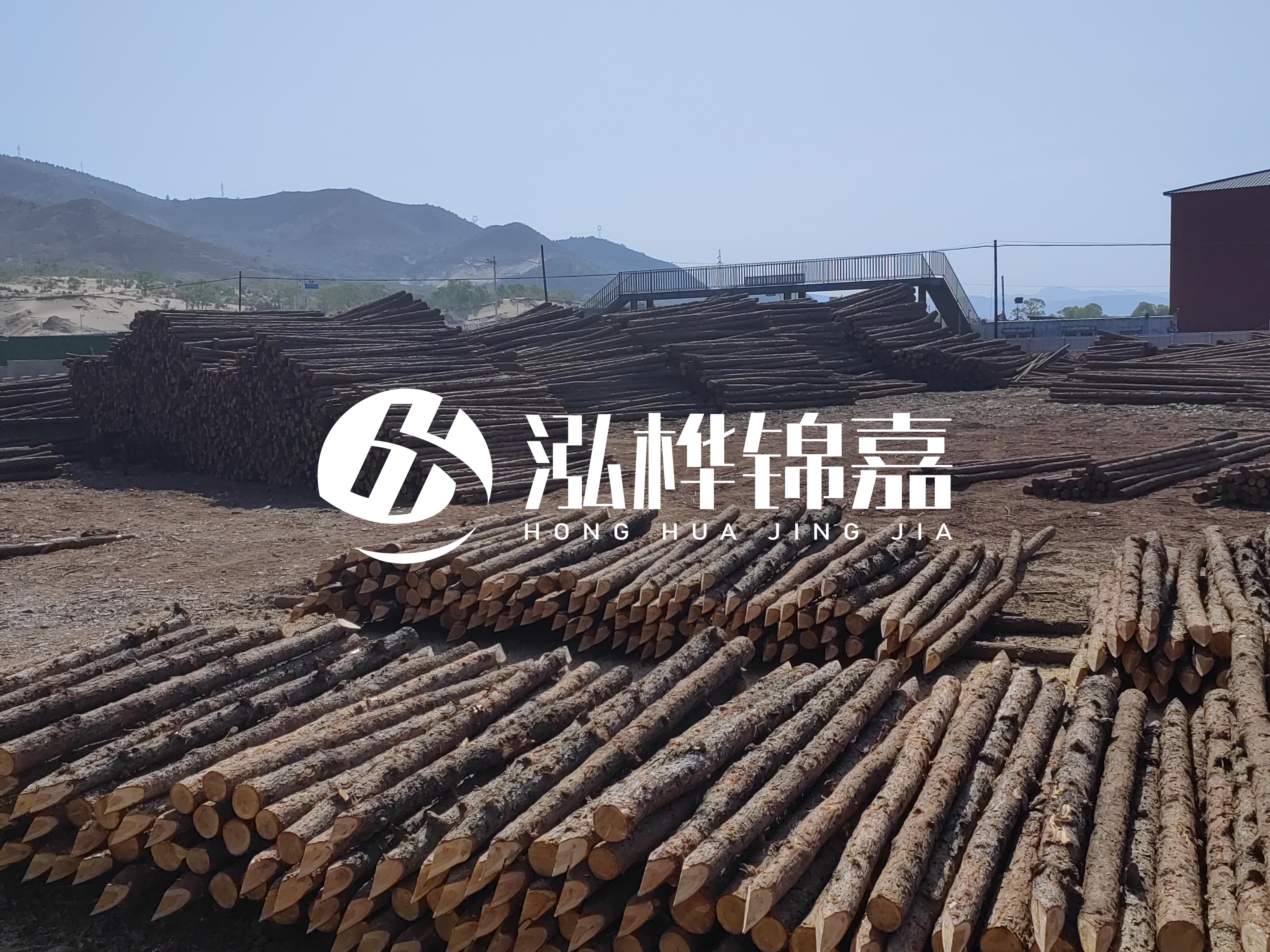 江蘇打樁木源頭廠家泓樺錦嘉-4米打樁木大頭14-16小頭一般多少？