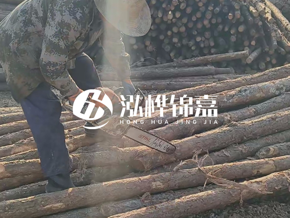 廣東打樁木源頭廠家泓樺錦嘉 - 如何選擇適合特定邊坡的松木樁？