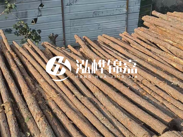 松木樁打樁后清淤怎么處理？有沒有全包的公司？