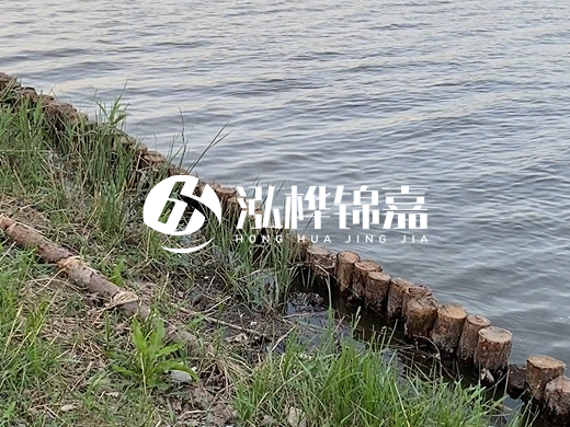 防洪松木樁施工重要性？河道打木樁的位置怎么確定？