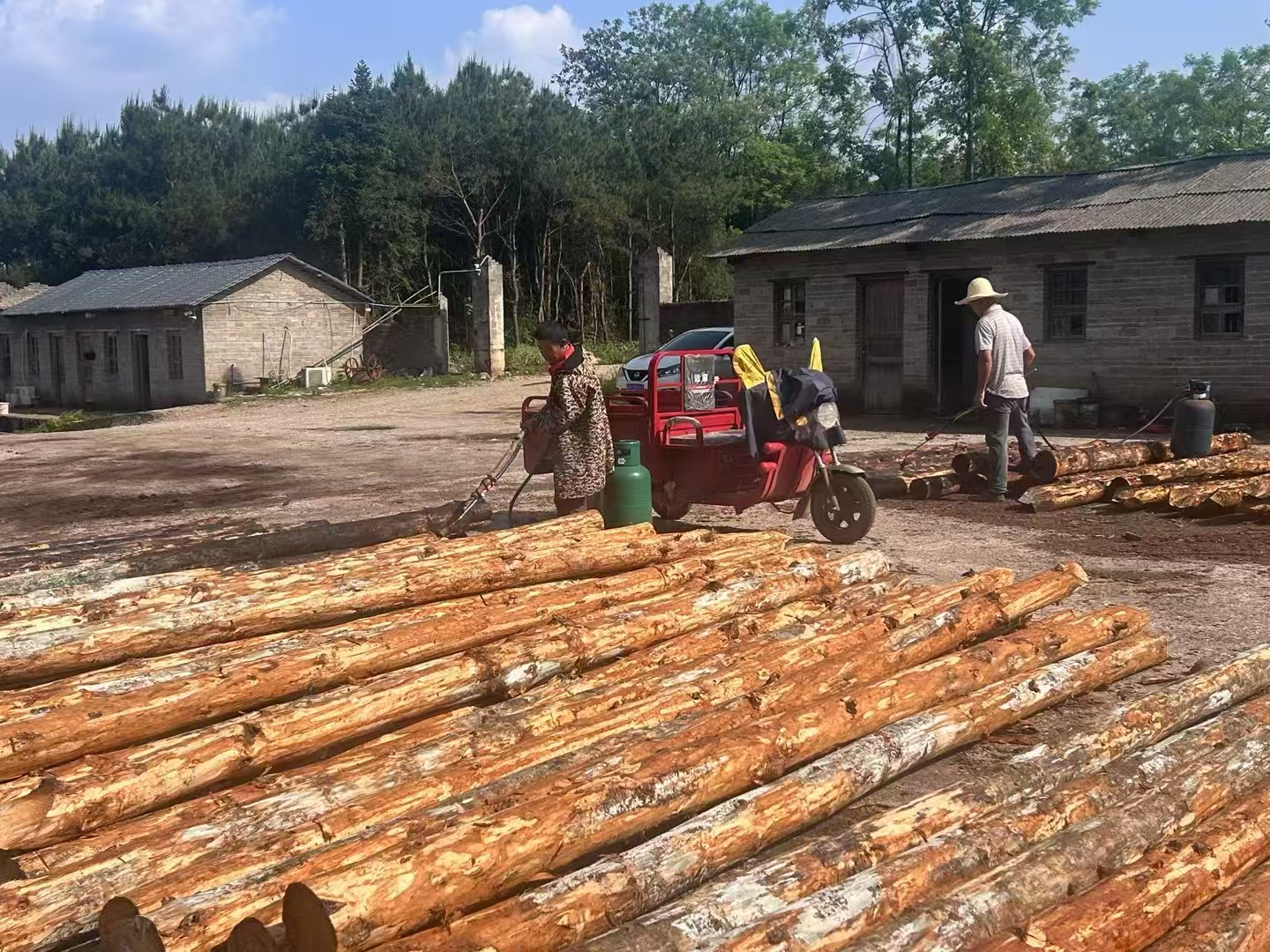 松木樁批發(fā)廠家泓樺錦嘉-圍堰松木樁為什么要交錯排列？