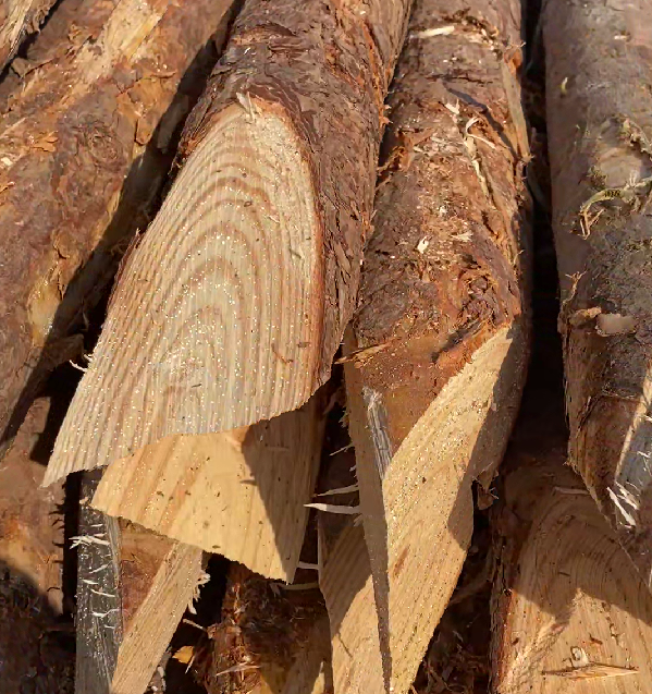 松木樁施工隊(duì)泓樺錦嘉 - 原木松木樁的最低起訂量是多少？