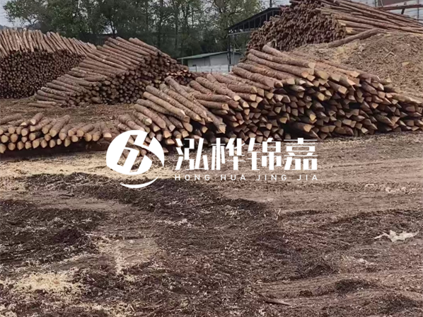 松木樁施工隊泓樺錦嘉-河道駁岸樁選擇松木還是水泥材質更合適？