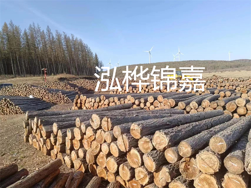 用路基松木樁施工方案提升工程質(zhì)量描述：了解路基松木樁施工方案的重要性，提高工程質(zhì)量關(guān)鍵詞：路基松木樁，施工方案，工程質(zhì)量